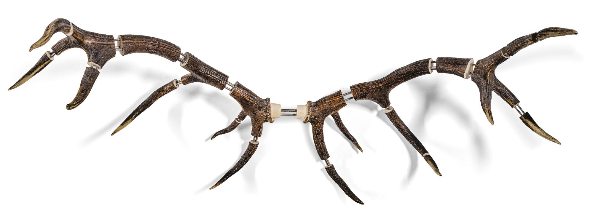 Michael Joo - Improved Rack No. 0