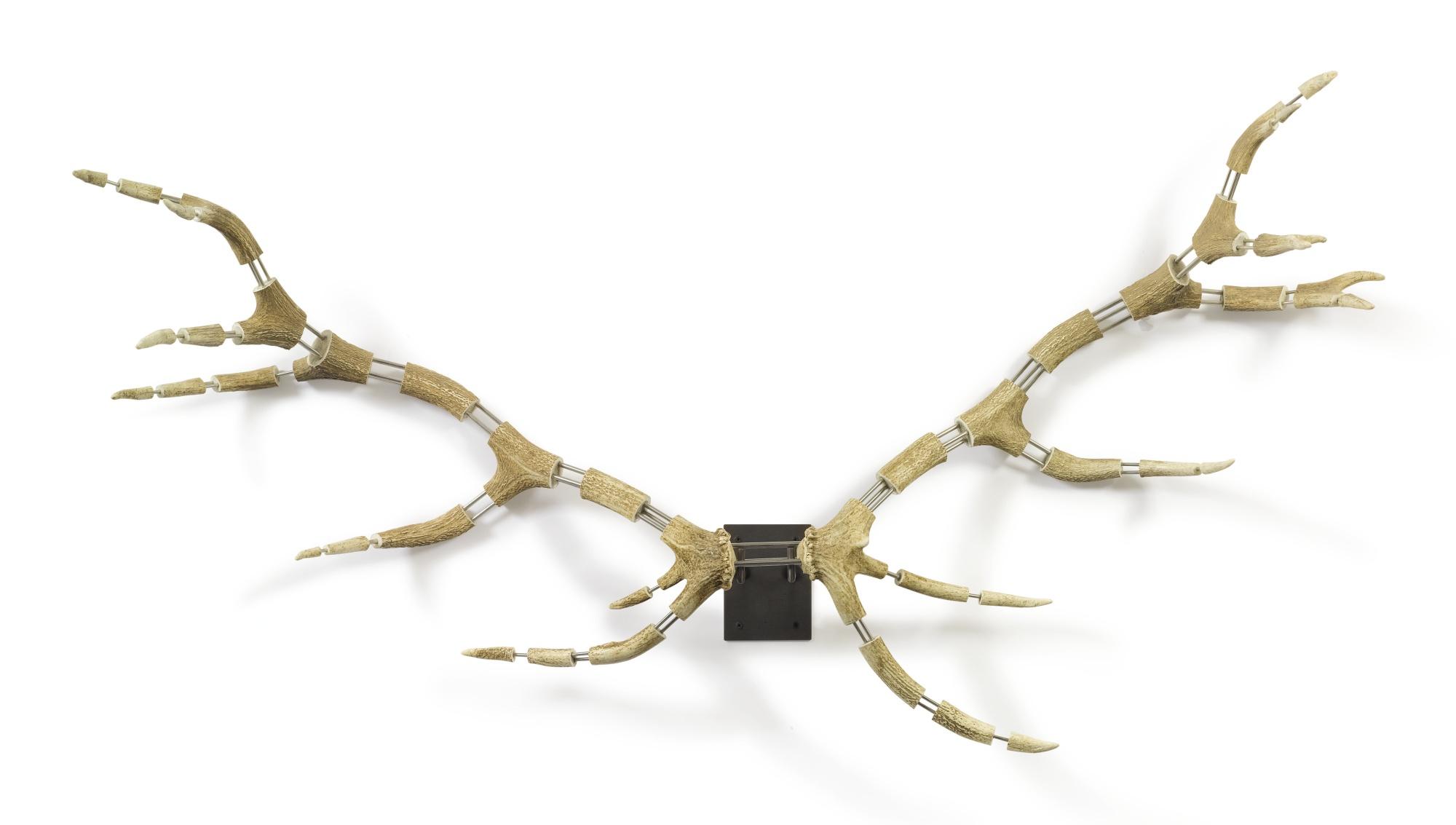 Michael Joo - Srs #8