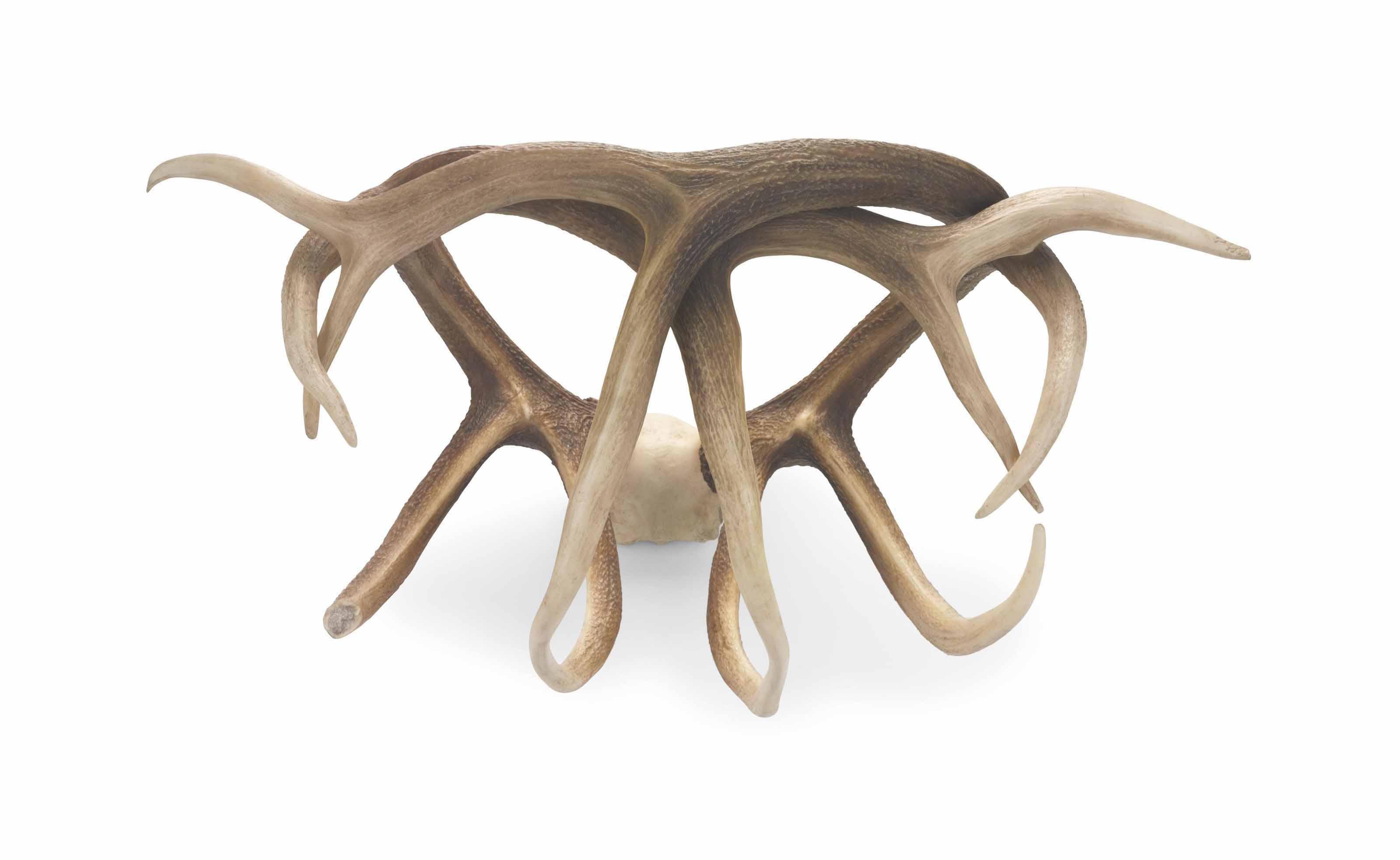 Michael Joo - Strappado