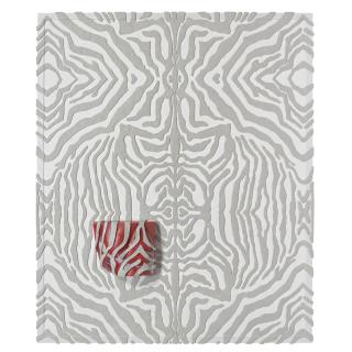 Michael Joo - Stripped Surface (Imperative)