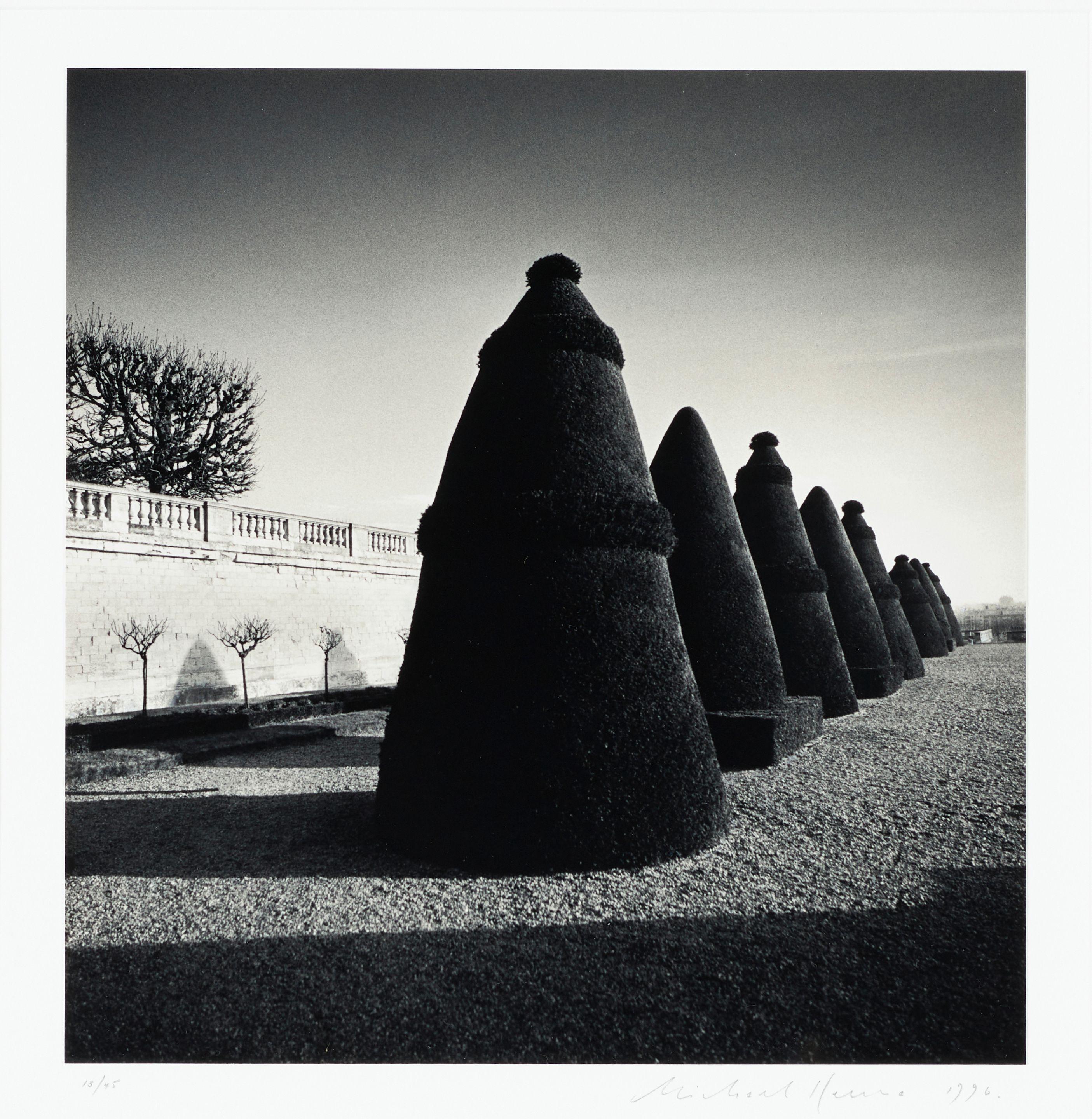 Michael Kenna - \'Atget\'s Trees, Study 3, Saint Cloud, France\'