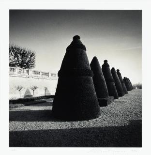 Michael Kenna - \'Atget\'s Trees, Study 3, Saint Cloud, France\'
