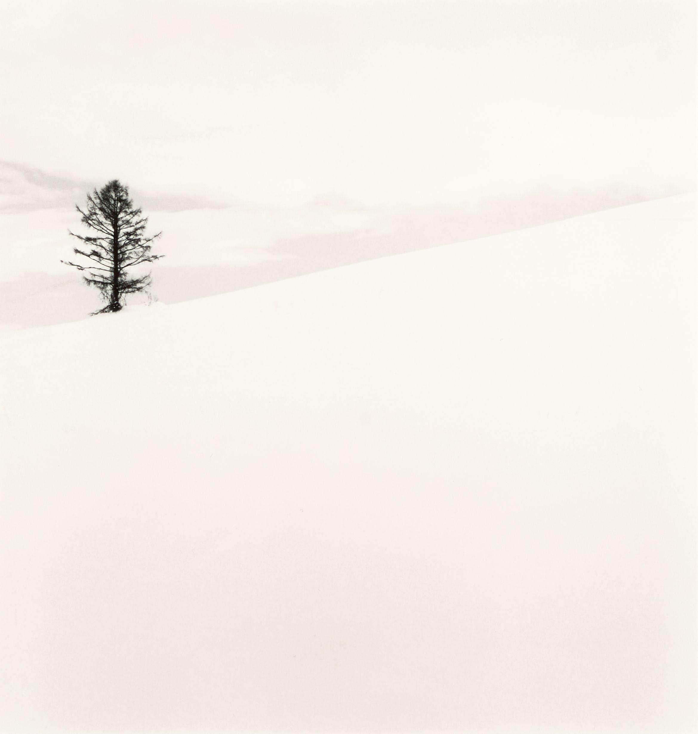 Michael Kenna - \'One Tree, Nakafurano, Hokkaido, Japan\'