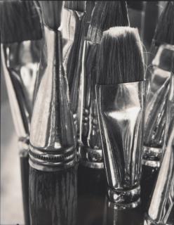 Michael Kenna - Paint Brushes