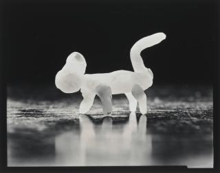 Michael Kenna - Paolo\'s Beeswax Dog