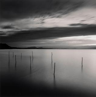 Michael Kenna - The Rouge, Study 5, Deerborn, Michigan; and Sticks in Water, Lake Shinzi, Japan 2