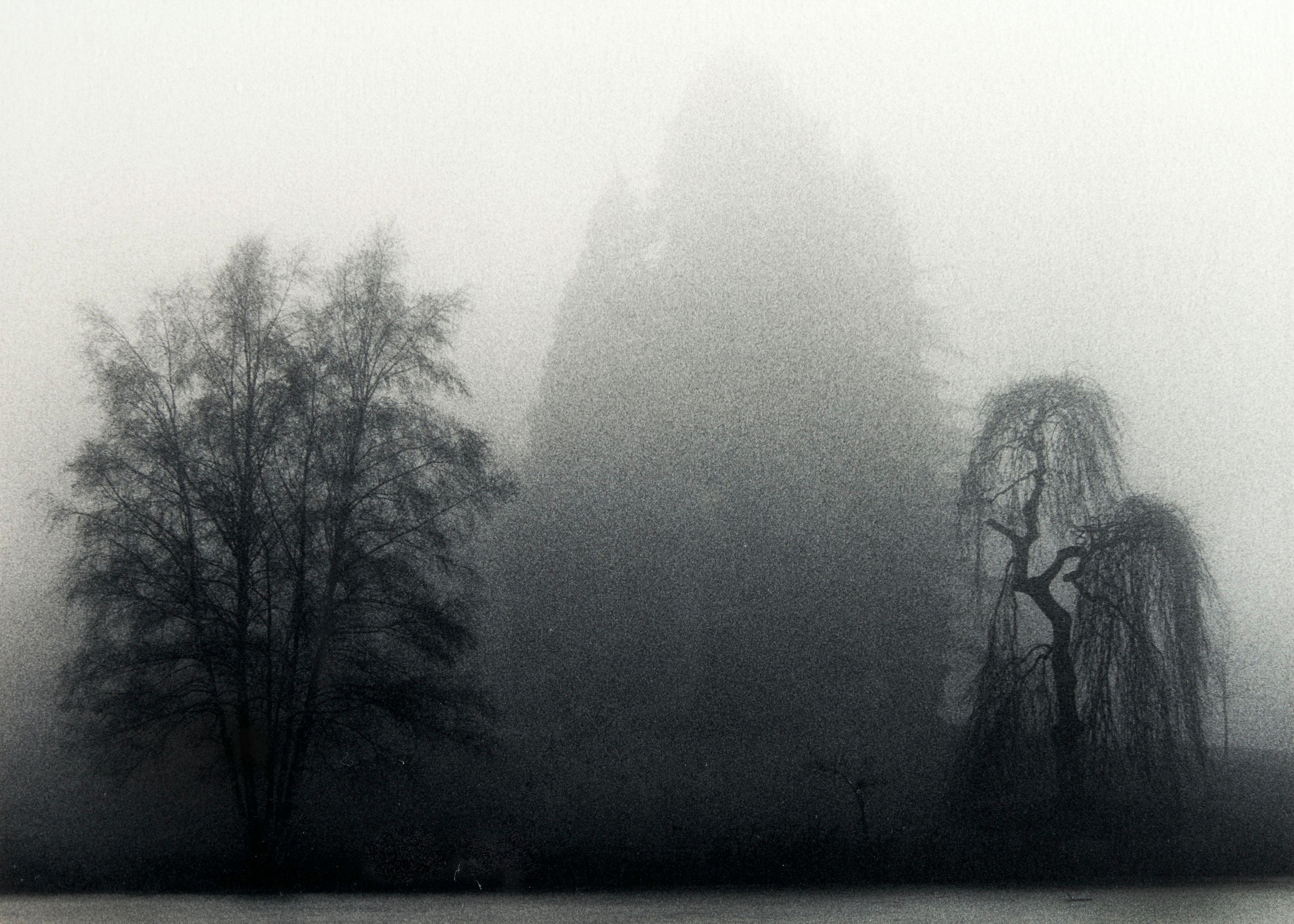 Michael Kenna - Trees, Wroxton, Oxfordshire, England