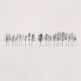 Michael Kenna - Twenty-Four Trees, Abashiri, Hokkaido, Japan
