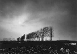 Michael Kenna - Winter Trees, Oxfordshire, England