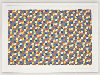 Michael Kidner - Shredded Penrose II