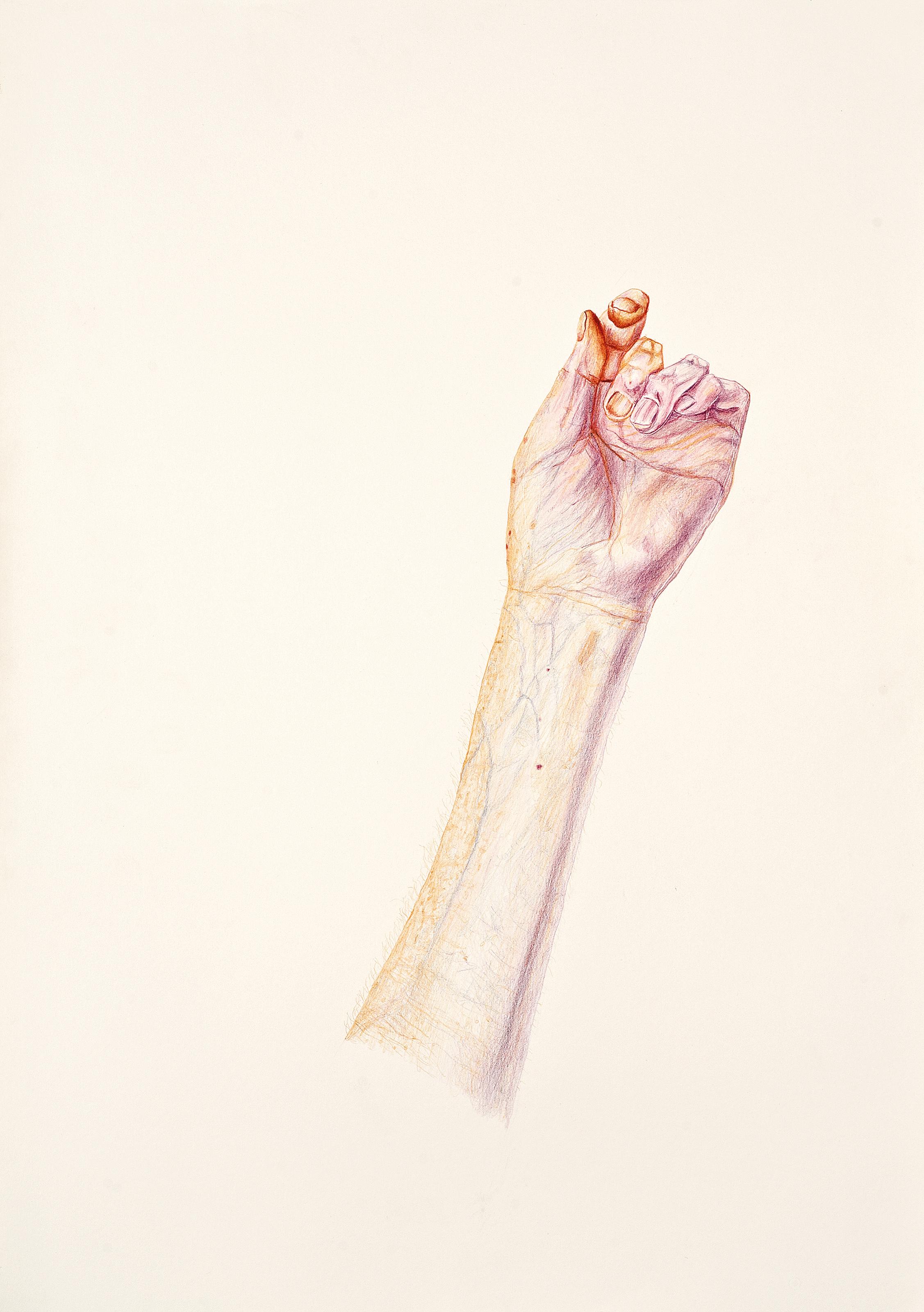 Michael Landy - Muscle Power