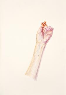 Michael Landy - Muscle Power