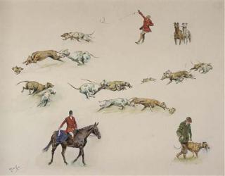 Michael Lyne - So Clever Wins The 1971 Waterloo Cup From Holly Tree