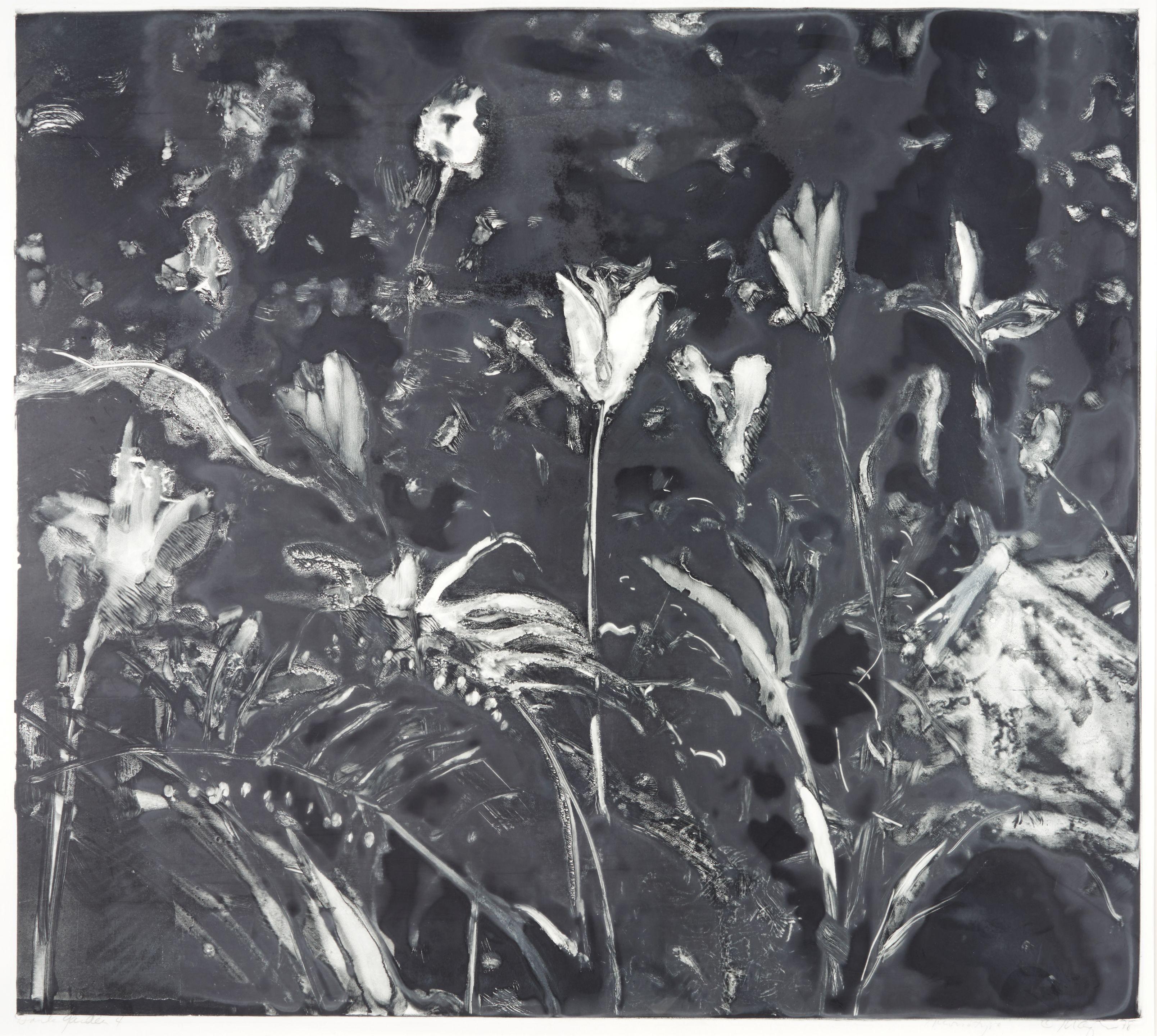 Michael Mazur - Dark Garden 4