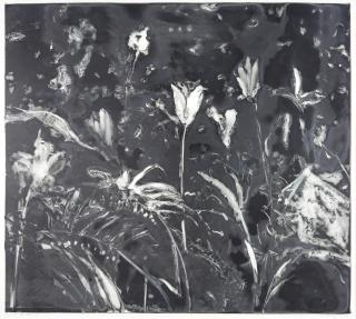 Michael Mazur - Dark Garden 4