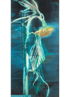 Michael Mazur - Night Sunflower II