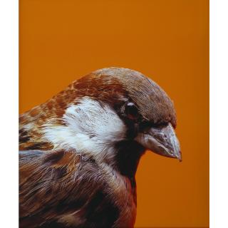 Michael Parekowhai - New Zealander Portrait Of Elmer Keith #2 - From The Series Beverly Hills Gun Club 2000