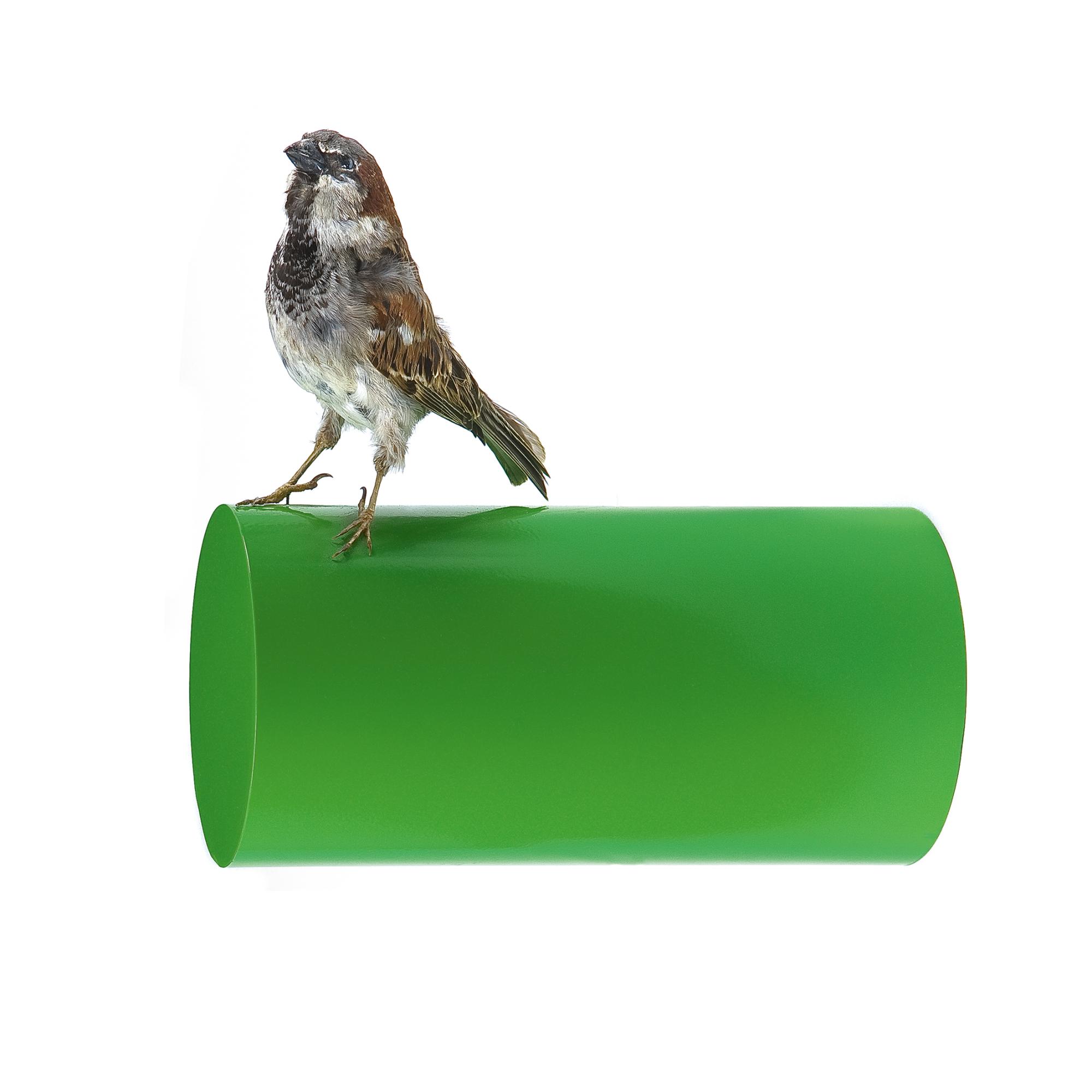 Michael Parekowhai - New Zealander Robert Hayden Jr. (From The Series Beverley Hills Gun Club)