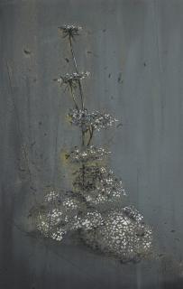 Michael Raedecker - Penetration