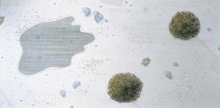 Michael Raedecker - Untitled