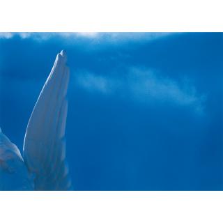 Michael Riley - Australian Right Wing (From The Series Cloud)