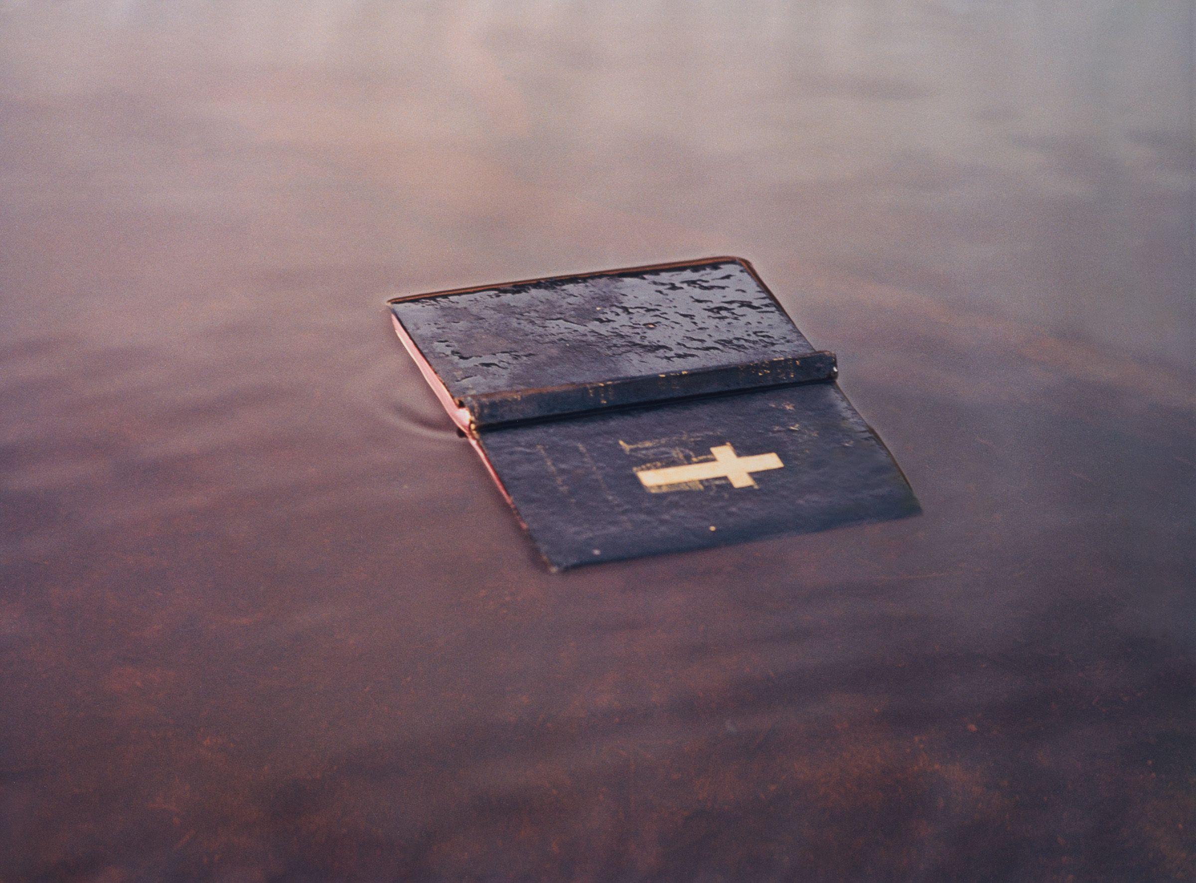 Michael Riley - Untitled (Bible), From The Series Flyblown, 1998