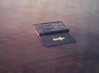 Michael Riley - Untitled (Bible), From The Series Flyblown, 1998