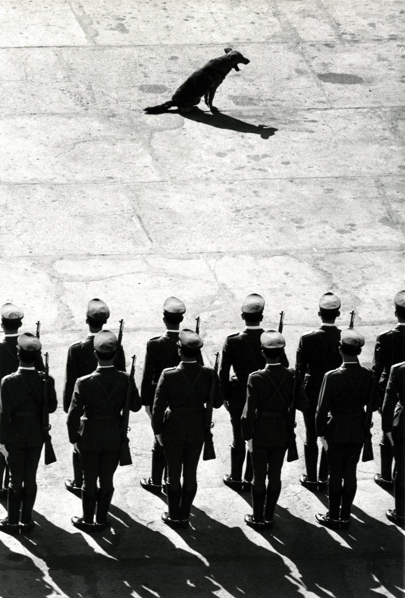 Michael Ruetz - Ohne Titel