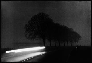 Michael Ruetz - »Scheinwerfer auf nächtlicher Straße«