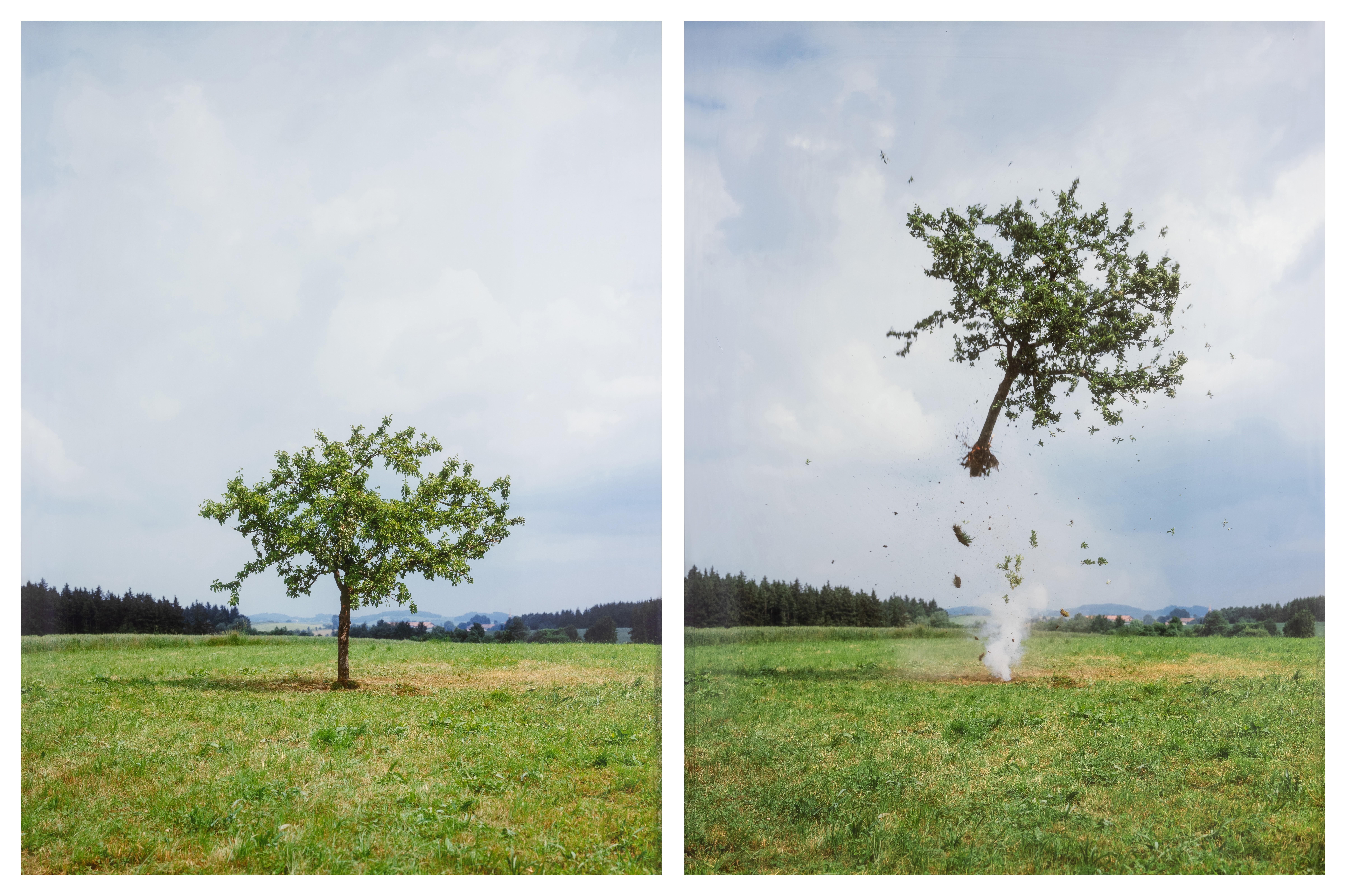 Michael Sailstorfer - Raketenbaum (Rocket Tree)