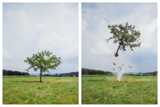 Michael Sailstorfer - Raketenbaum (Rocket Tree)