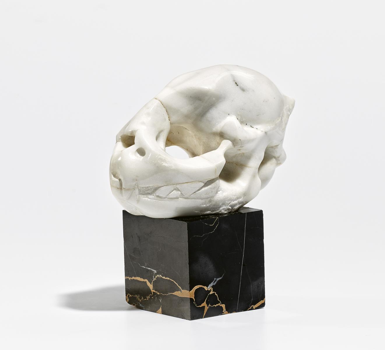 Michael Schoenholtz - Kleiner Schädel