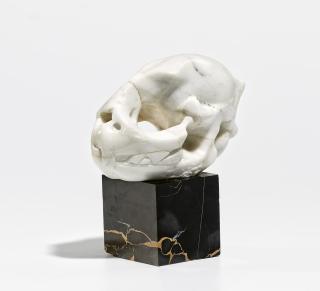 Michael Schoenholtz - Kleiner Schädel