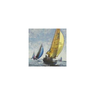 Michael Vaughan - Making The Line, Cowes Week 2000