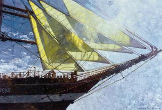 Michael Vaughan - Sun through the sails