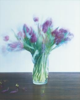 Michael Wesely - 17.4.-27.4.2004 (Tulpen)