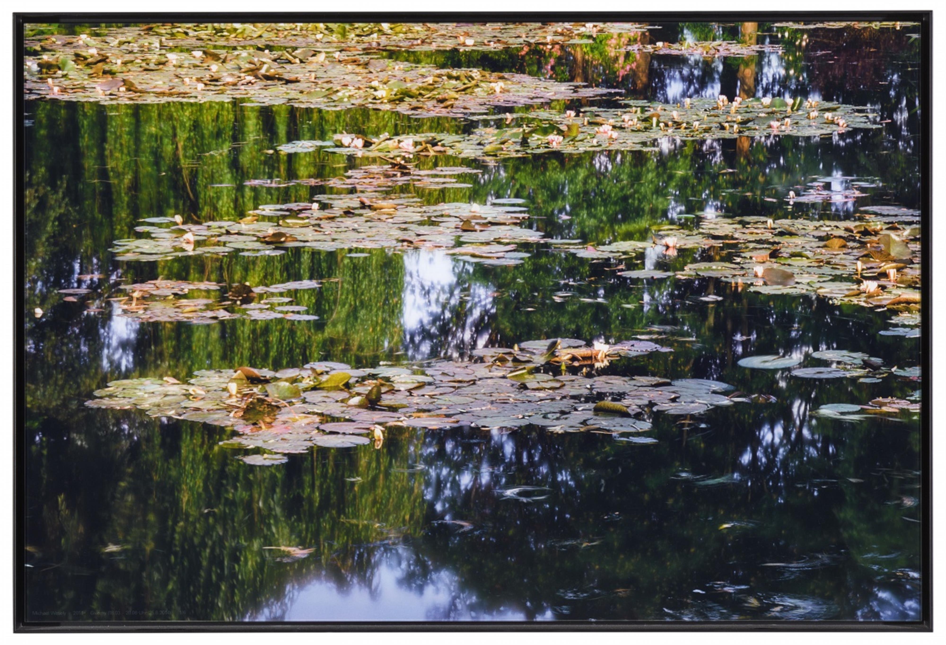 Michael Wesely - Giverny (18.03 - 20.06 Uhr, 25.06.14)