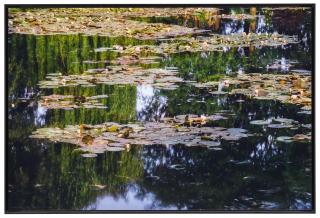 Michael Wesely - Giverny (18.03 - 20.06 Uhr, 25.06.14)