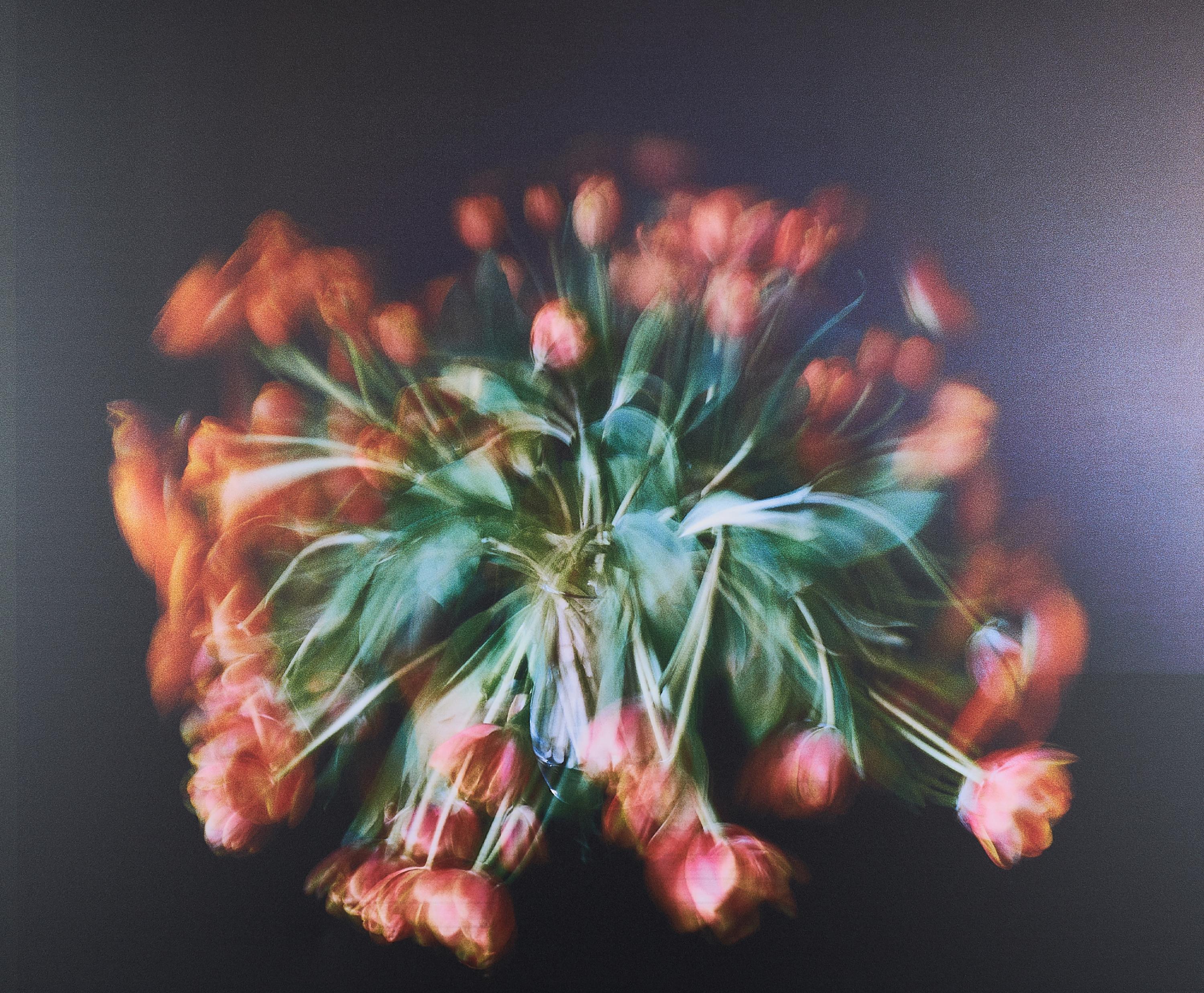 Michael Wesely - Stillleben (9.5.-16.5.20)