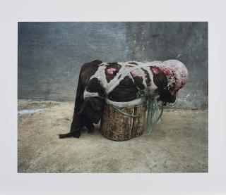 Michael Wolf - Chair 7 (Aus: Bastard Chairs).