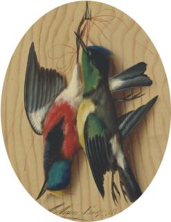 Michaelangelo Meucci - Hanging Songbirds; And A Companion Painting
