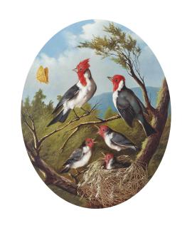 Michaelangelo Meucci - Songbirds