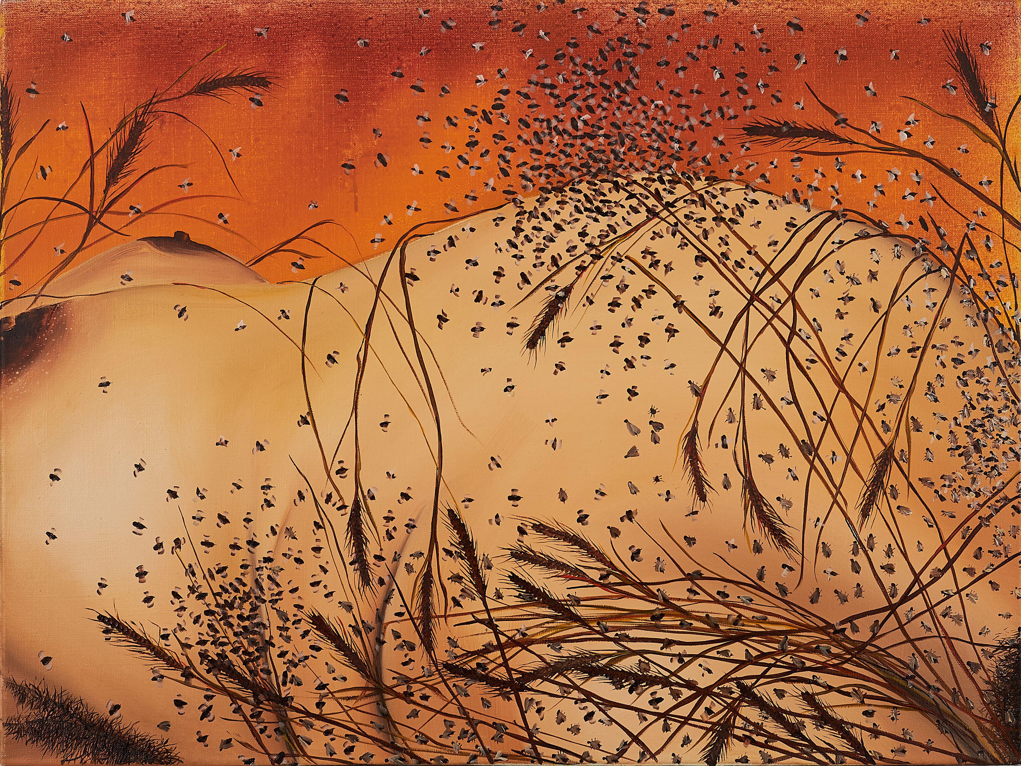 Michal Jankowski - \