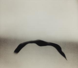 Michal Rovner - Boomerang Ii