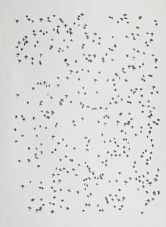 Michal Rovner - Crosses