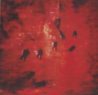 Michal Rovner - Heat #3