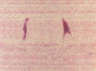 Michal Rovner - Into the Wind II