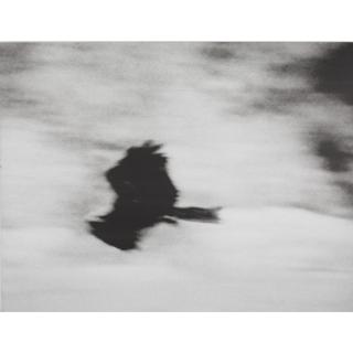 Michal Rovner - Nof Ii