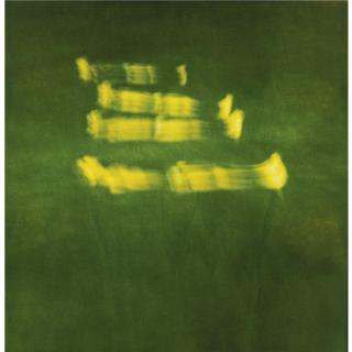 Michal Rovner - One Person Game Against Nature #32