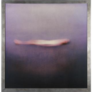 Michal Rovner - One Person Game Against Nature I, No. 6 & 7, 1992-93